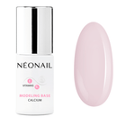 NN - Modeling Base Calcium - Basic Pink