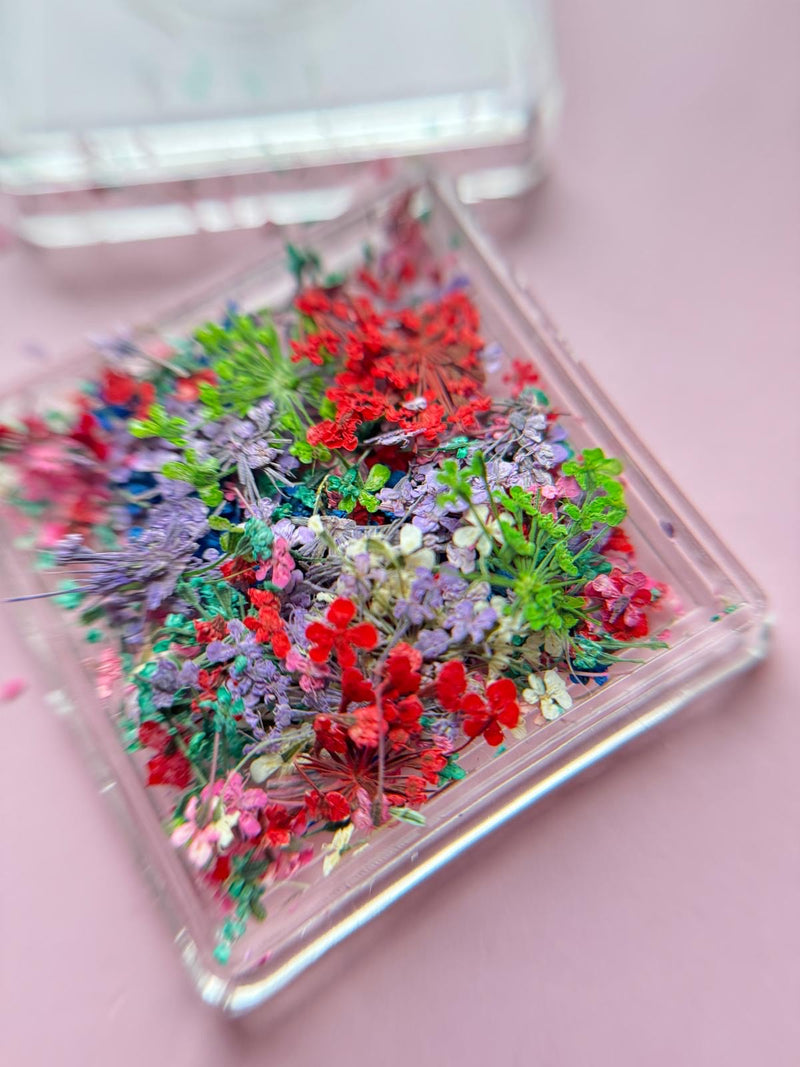 MD - Dried flowers  Green/Blue/Red