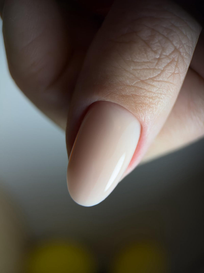 Manifest Manicure Pro : Flex Build Edition |  MERAKI