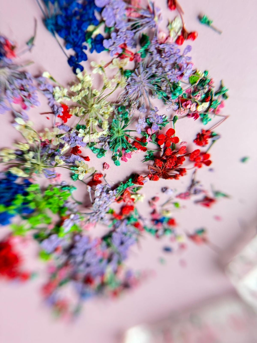 MD - Dried flowers  Green/Blue/Red
