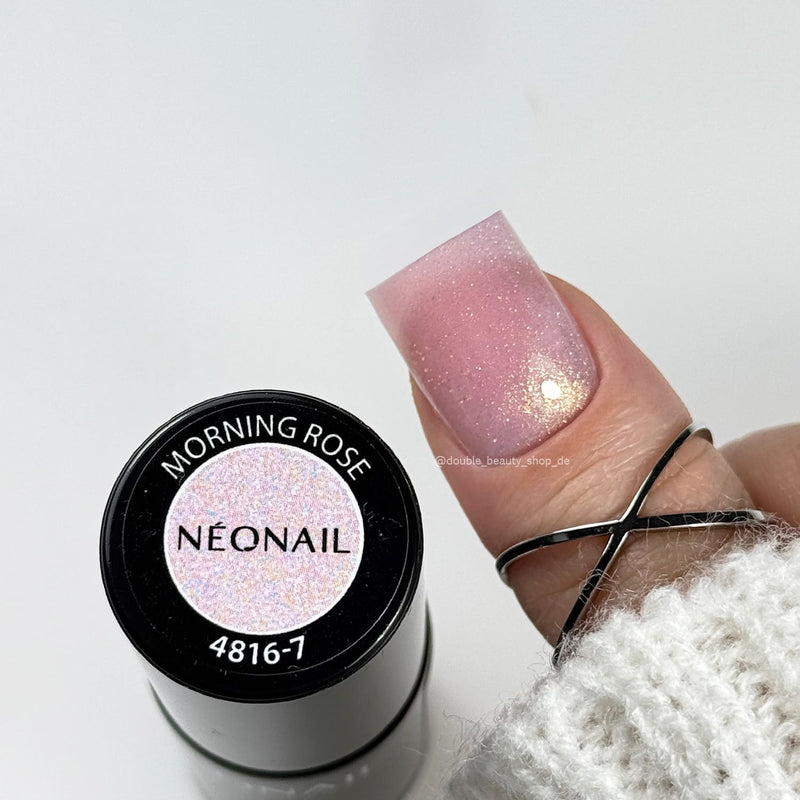 NN - Morning Rose