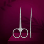STALEKS - EXCLUSIVE 21 TYPE 2 - Professional cuticle scissors with hook